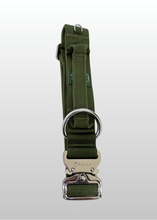 Load image into Gallery viewer, Cactus Green 1.5 inch tactical dog collar with quick-release buckle
