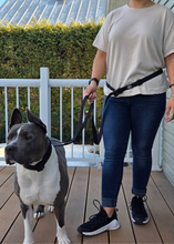 Load image into Gallery viewer, Adjustment points on multi-way hands-free dog leash

