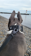 Load image into Gallery viewer, Wide-band waterproof PVC dog collar close-up
