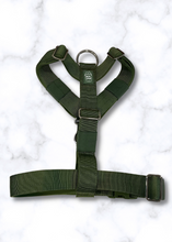 Load image into Gallery viewer, Cactus Green Y-strap dog harness showing front D-ring
