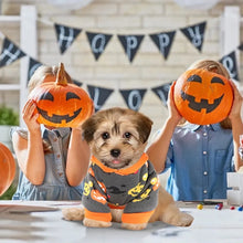Load image into Gallery viewer, Halloween Dog Sweater – Pumpkin Fall Pet Apparel
