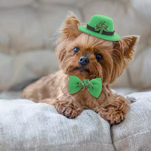 Load image into Gallery viewer, Saint Patrick's Day Dog Accessory Set | Green Hat &amp; Collar
