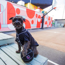 Load image into Gallery viewer, Toronto Barkers Dog Toy
