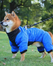Load image into Gallery viewer, Waterproof Dog Rain Jacket | Vancouver Design - Sizes XS-3XL
