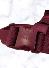 Load image into Gallery viewer, Cherry Wine Y-strap dog harness adjustment points

