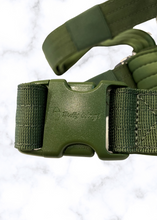 Load image into Gallery viewer, Cactus Green Y-strap dog harness adjustment points
