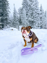 Load image into Gallery viewer, Dog wearing Lilac tactical collar with handle
