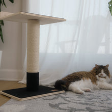 Load image into Gallery viewer, Noba Modern Plywood 1-Level Cat Tree

