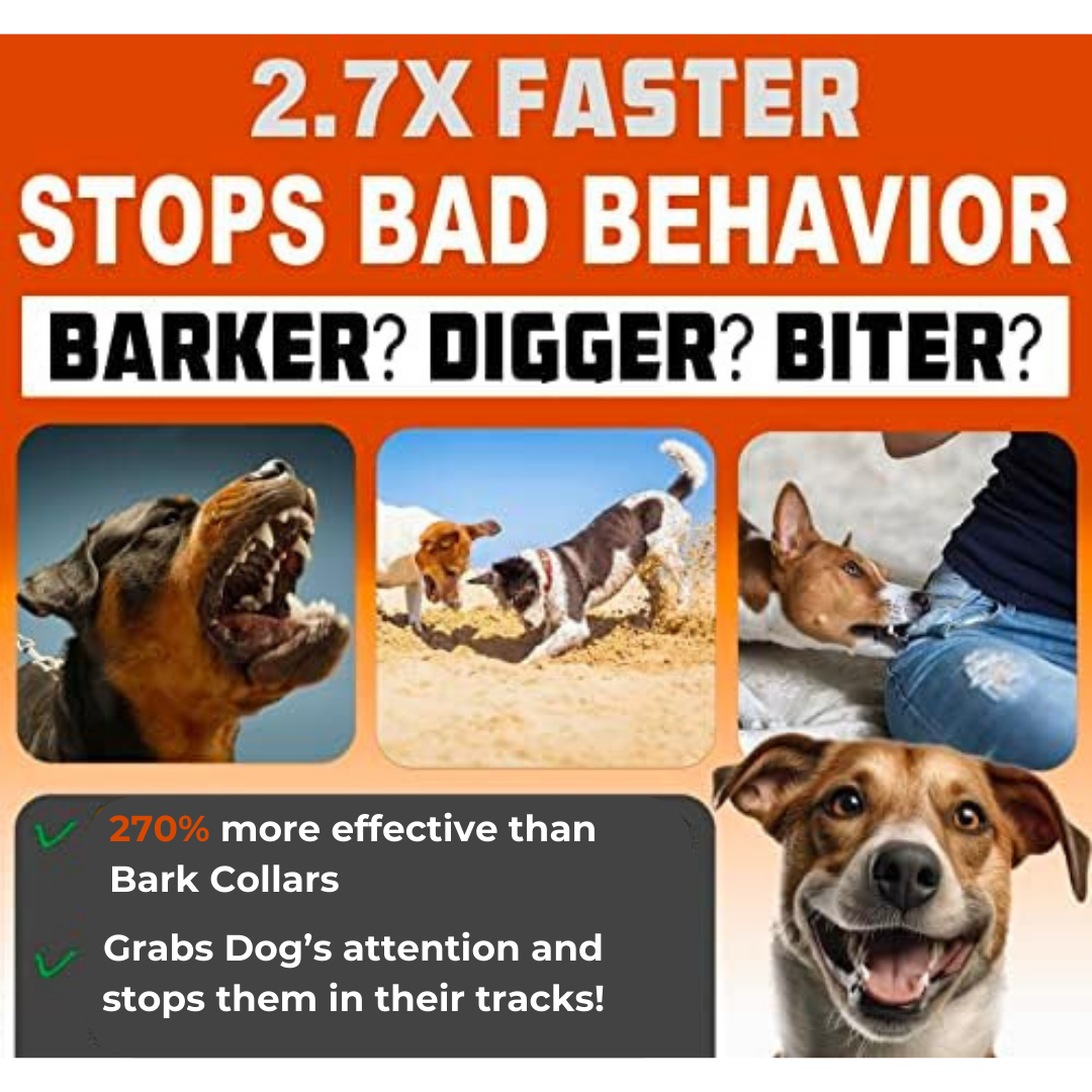 Humane dog barking sales solutions