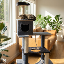 Load image into Gallery viewer, Noba Supreme 81" Tower - 5-Level Cat Tree
