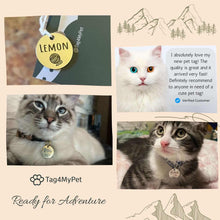 Load image into Gallery viewer, Examples of engraved cat ID tags in silver, gold, rose gold, and black
