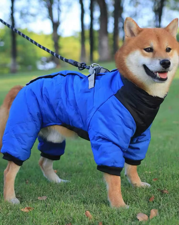 Waterproof Dog Rain Jacket | Vancouver Design - Sizes XS-3XL