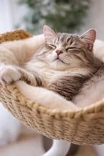 Load image into Gallery viewer, ERGO PURRCH Desk Mounted Cat Bed - Adjustable Cat Perch for Office
