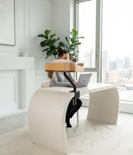 Load image into Gallery viewer, ERGO PURRCH Desk Mounted Cat Bed - Adjustable Cat Perch for Office
