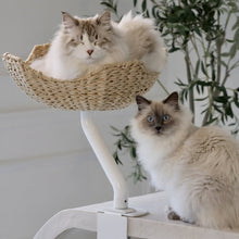 Load image into Gallery viewer, ERGO PURRCH Desk Mounted Cat Bed - Adjustable Cat Perch for Office
