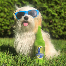 Load image into Gallery viewer, Steam Wiggles Dog Toy
