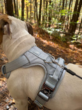 Load image into Gallery viewer, Dog wearing Baby Blue heavy-duty harness outdoors
