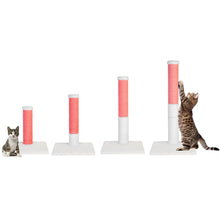 Load image into Gallery viewer, Noba Evolution - 4 in 1 Scratching post - White Faux fur

