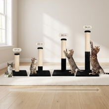 Load image into Gallery viewer, Noba Evolution - 4 in 1 Scratching post - Black Faux Fur

