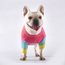 Load image into Gallery viewer, Rainbow Dog Sweater – Cozy Knit Pullover for Small to Medium Dogs
