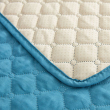 Load image into Gallery viewer, Drylini™ Waterproof Non-Slip Pet Blanket — Sofa &amp; Bed Furniture Protector for Dogs
