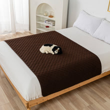 Load image into Gallery viewer, Drylini™ Waterproof Non-Slip Pet Blanket — Sofa &amp; Bed Furniture Protector for Dogs
