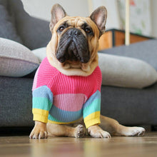 Load image into Gallery viewer, Rainbow Dog Sweater – Cozy Knit Pullover for Small to Medium Dogs
