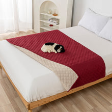 Load image into Gallery viewer, Drylini™ Waterproof Non-Slip Pet Blanket — Sofa &amp; Bed Furniture Protector for Dogs
