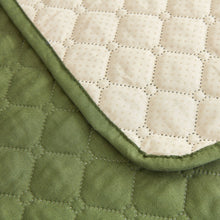 Load image into Gallery viewer, Drylini™ Waterproof Non-Slip Pet Blanket — Sofa &amp; Bed Furniture Protector for Dogs
