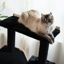 Load image into Gallery viewer, Hexagon House - 4-Level Cat Tree
