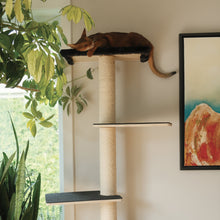 Load image into Gallery viewer, Noba Mural System Kit- The Vertical Playground
