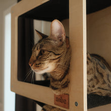 Load image into Gallery viewer, Noba Mural System Kit- The Vertical Playground
