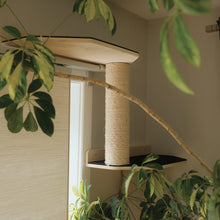 Load image into Gallery viewer, Noba Mural System Kit- The Vertical Playground
