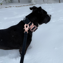 Load image into Gallery viewer, Dog wearing rose gold waterproof PVC collar and leash set
