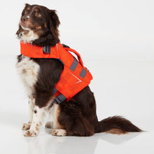 Load image into Gallery viewer, Dog wearing an orange life jacket on a white background
