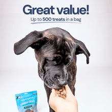 Load image into Gallery viewer, Beef Mini Training Treats | 1-Calorie Protein-Rich Dog Treats

