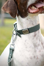 Load image into Gallery viewer, Close-up of waterproof dog collar buckle and hardware
