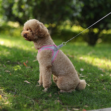 Load image into Gallery viewer, Walkalini™ Reflective Dog Harness + Leash Set (Ideal for Small and Medium Dogs and Cats)
