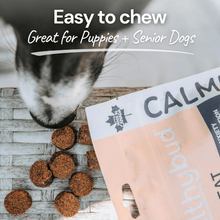 Load image into Gallery viewer, Duck Calming Aid | Natural Anxiety Relief Treats for Dogs with L-Theanine
