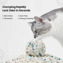 Load image into Gallery viewer, Green Tea Tofu Cat Litter Cubic Pack

