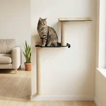Load image into Gallery viewer, Wall Mounted Cat Scratcher Parkour
