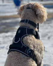 Load image into Gallery viewer, Black heavy-duty dog harness handle detail
