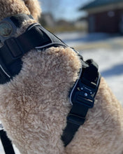 Load image into Gallery viewer, Reflective stitching on Black heavy-duty dog harness

