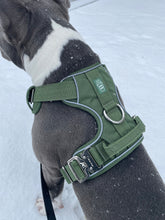 Load image into Gallery viewer, Dog wearing Cactus Green heavy-duty harness outdoors
