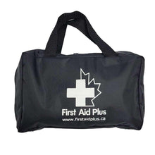 Load image into Gallery viewer, Large Pet First Aid Kit by First Aid Plus — red waterproof nylon bag with carry handle, 25-piece emergency kit for dogs and cats
