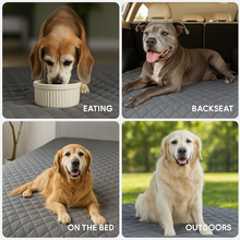 Load image into Gallery viewer, Drylini™ Waterproof Non-Slip Pet Blanket — Sofa &amp; Bed Furniture Protector for Dogs

