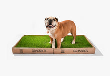Load image into Gallery viewer, Real GrassBox
