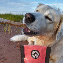 Load image into Gallery viewer, Salmon Skin Strips 85g for Dogs | Natural Canadian Treats
