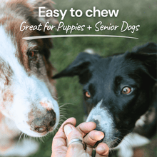 Load image into Gallery viewer, Turkey Gut Booster | Digestive Health Treats for Dogs with Prebiotics
