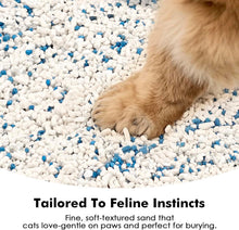 Load image into Gallery viewer, Vanilla Cassava Cat Litter Cubic Pack
